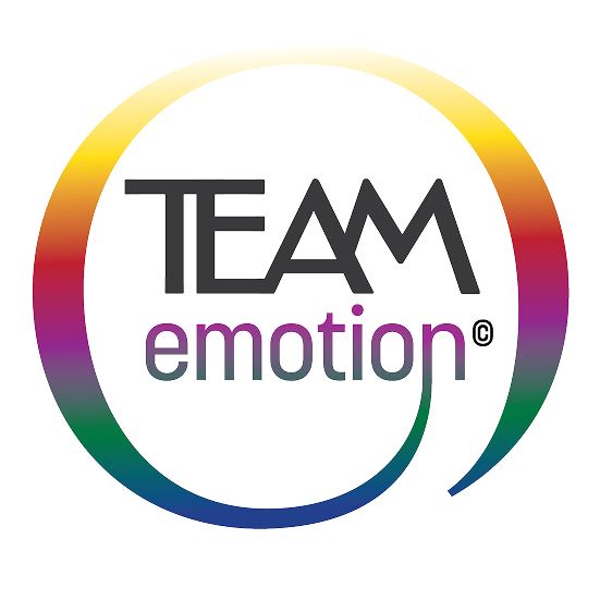 Group 7 (1) Brand logo of Team Emotion
